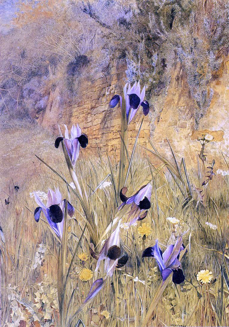 Henry Roderick Newman Irises in the Garden - Hand Painted Oil Painting