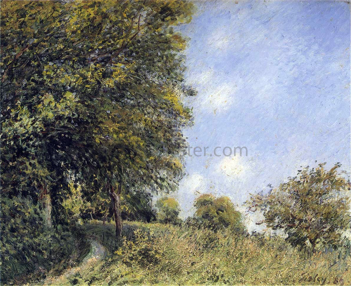 Alfred Sisley July Afternoon near the Forest - Hand Painted Oil Painting