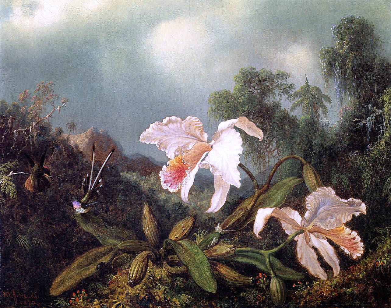Martin Johnson Heade Jungle Orchids and Hummingbirds - Hand Painted Oil Painting