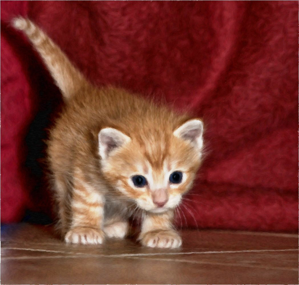 Our Original Collection Kitten on the Prowl - Hand Painted Oil Painting