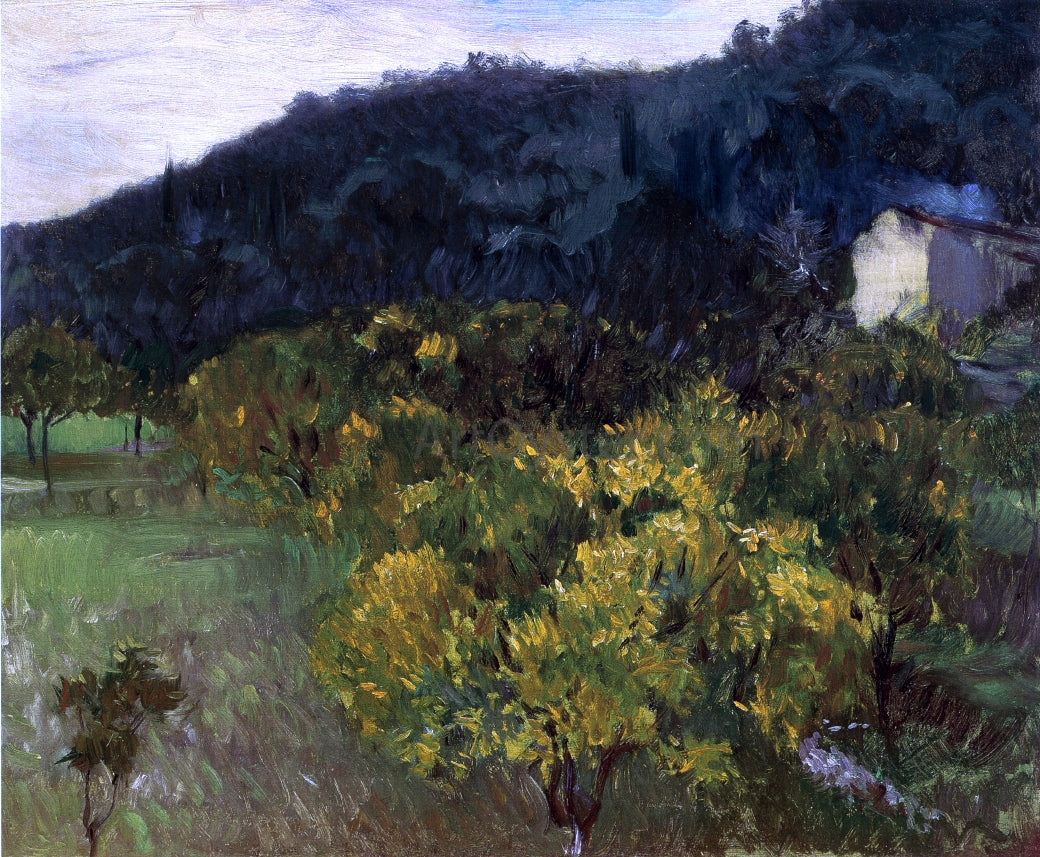 John Singer Sargent Landscape near Grasse - Hand Painted Oil Painting