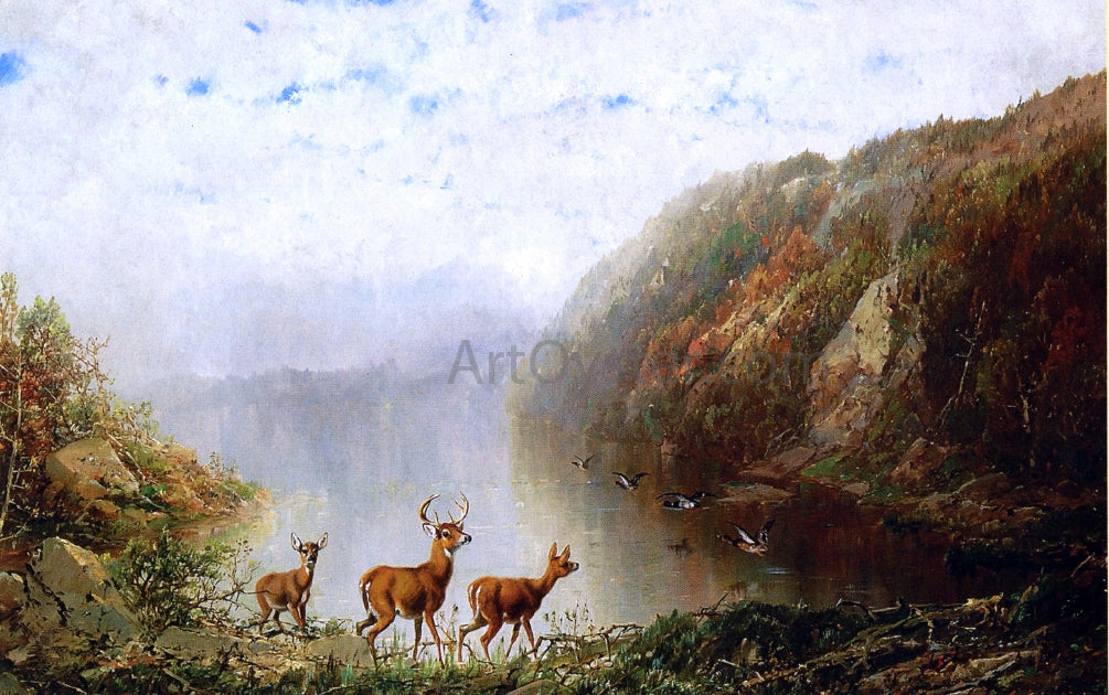 Herman Herzog Landscape with Deer and Ducks - Hand Painted Oil Painting
