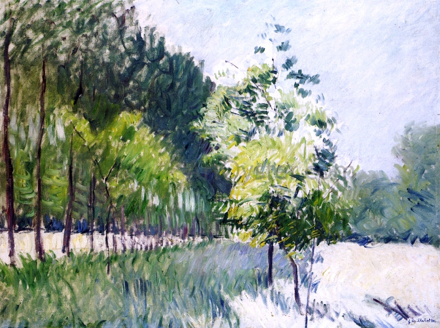Gustave Caillebotte Lane Bordered by Trees - Hand Painted Oil Painting