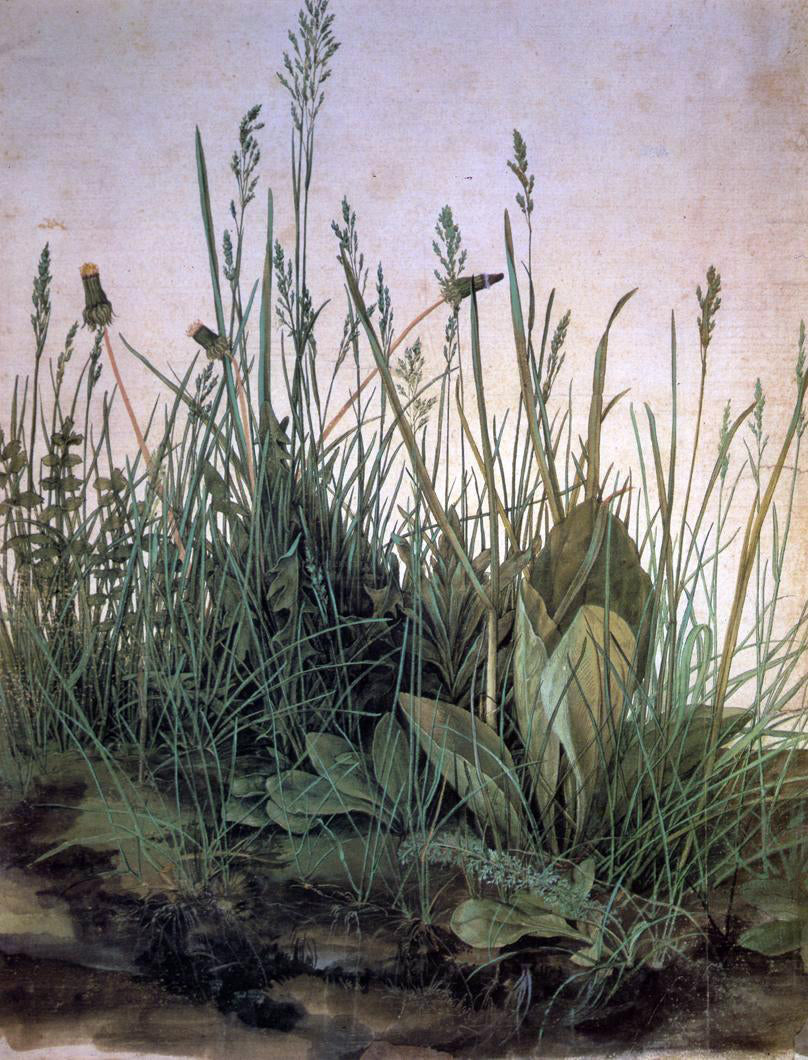 Albrecht Durer Large Turf - Hand Painted Oil Painting