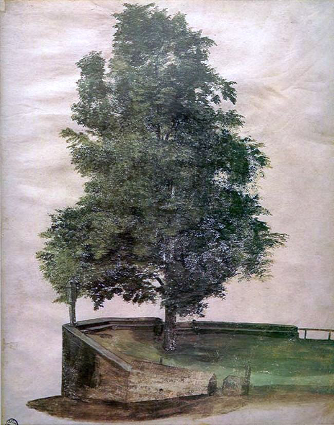 Albrecht Durer Linden Tree on a Bastion - Hand Painted Oil Painting