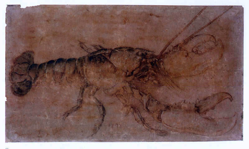 Albrecht Durer Lobster - Hand Painted Oil Painting