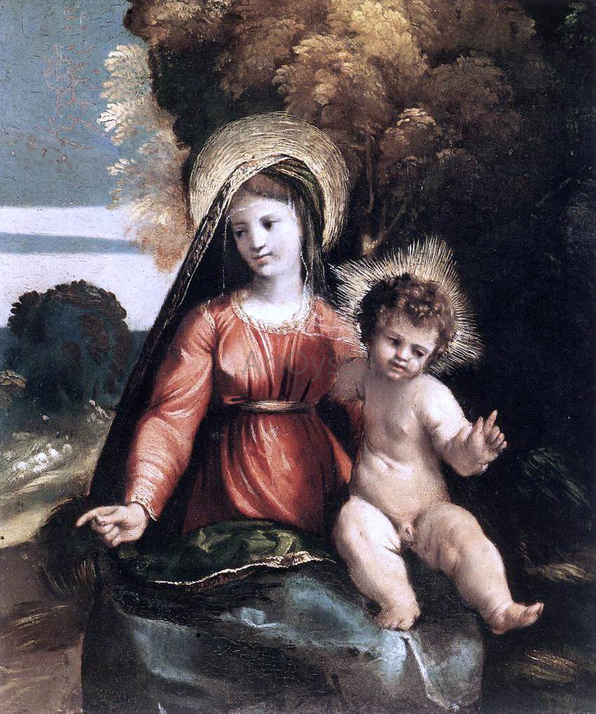  Dosso Dossi Madonna and Child - Hand Painted Oil Painting