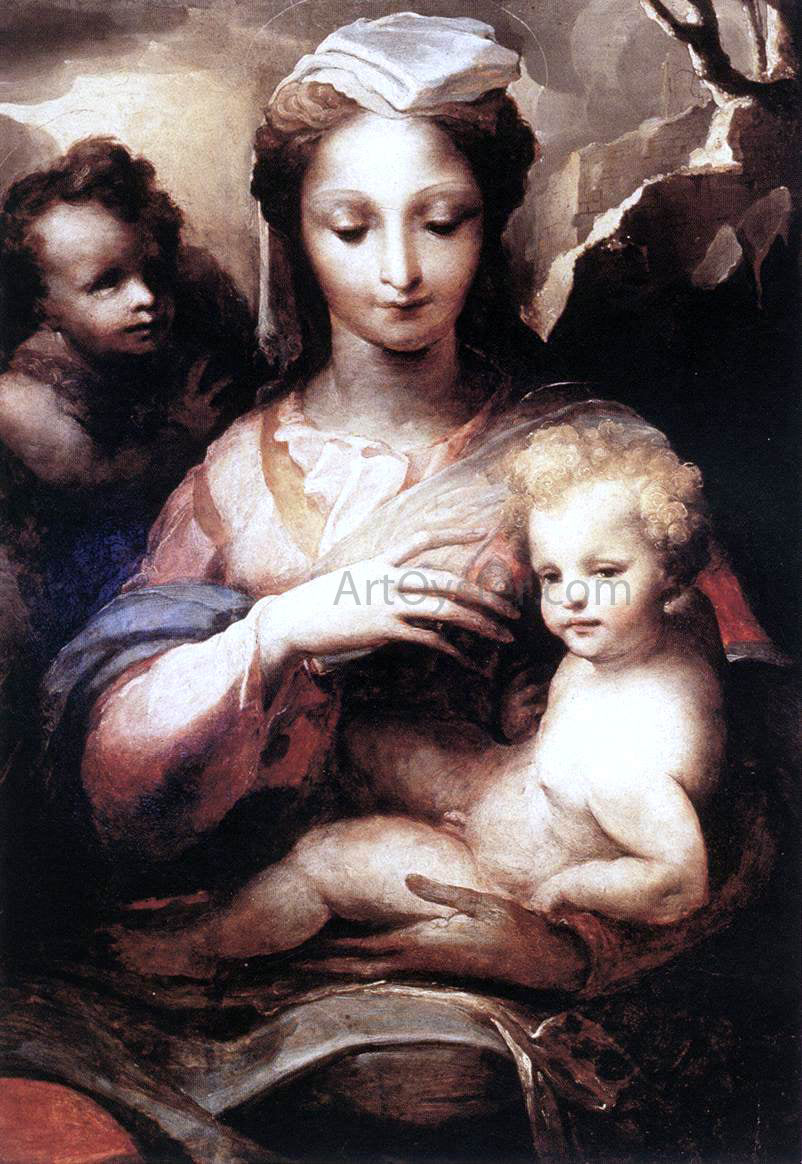  Domenico Beccafumi Madonna with the Infant Christ and St John the Baptist - Hand Painted Oil Painting