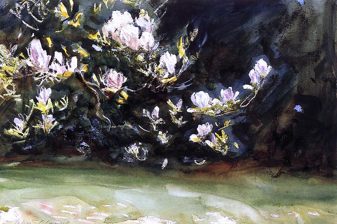 John Singer Sargent Magnolias - Hand Painted Oil Painting