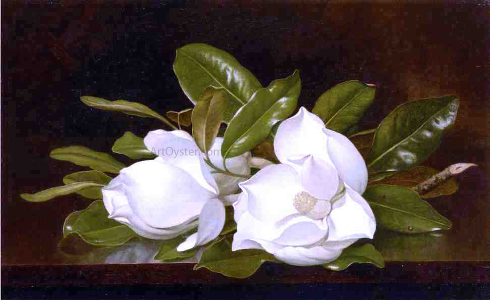 Martin Johnson Heade Magnolias on a Wooden Table - Hand Painted Oil Painting