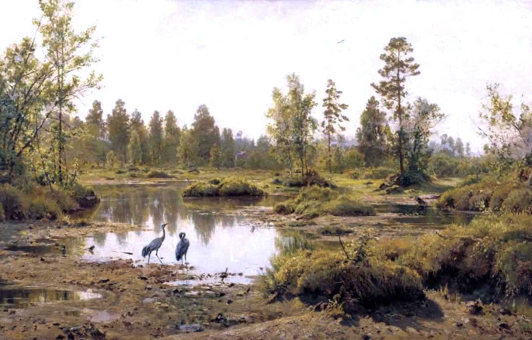  Ivan Ivanovich Shishkin Marsh in Polessie - Hand Painted Oil Painting