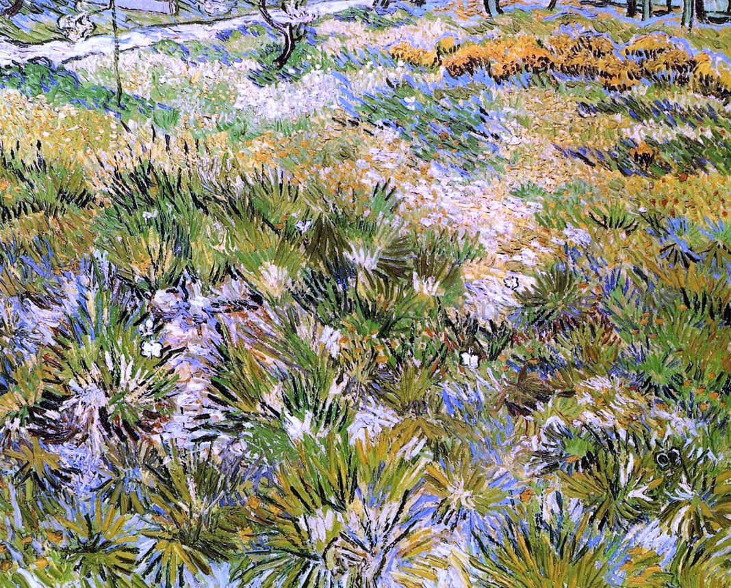 Vincent Van Gogh Meadow in the Garden of Saint-Paul Hospital - Hand Painted Oil Painting