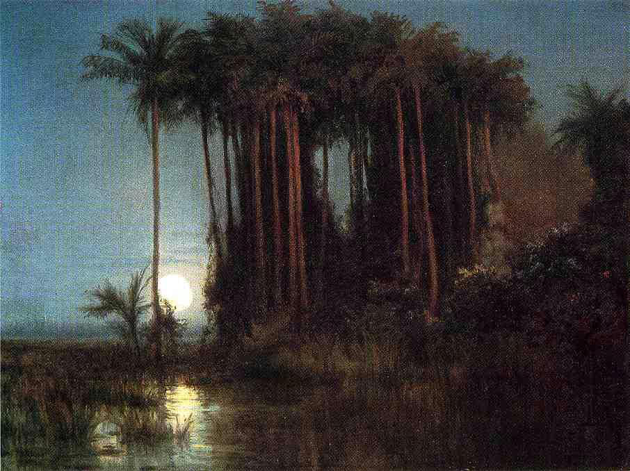 Louis Remy Mignot Moonlight over a Marsh in Ecuador - Hand Painted Oil Painting