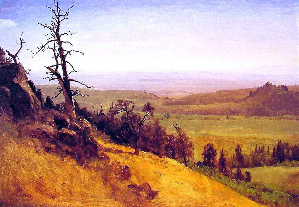 Albert Bierstadt Nebraska Wasatch Mountains - Hand Painted Oil Painting