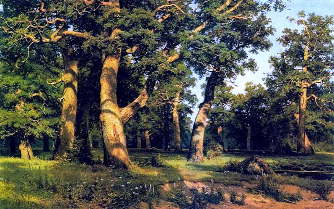 Ivan Ivanovich Shishkin Oak-wood - Hand Painted Oil Painting