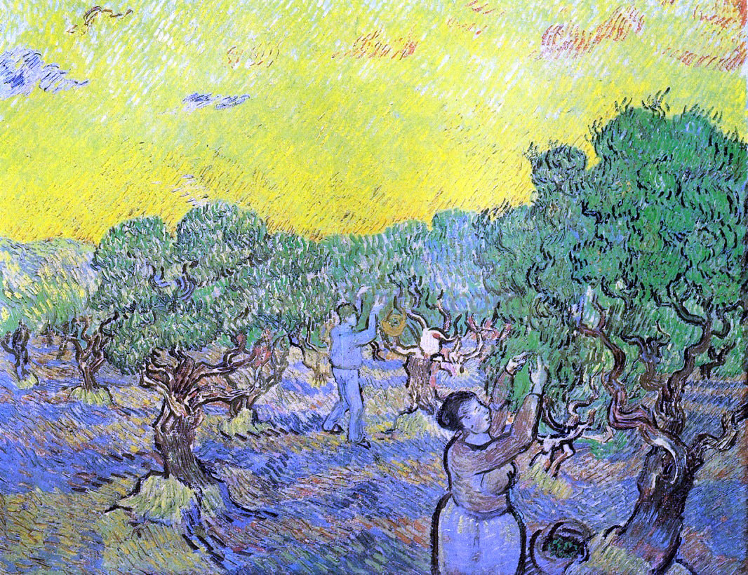  Vincent Van Gogh Olive Grove with Picking Figures - Hand Painted Oil Painting