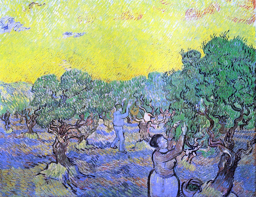 Vincent Van Gogh Olive Grove with Picking Figures - Hand Painted Oil Painting