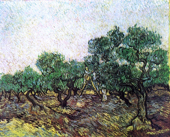 Vincent Van Gogh Olive Picking - Hand Painted Oil Painting