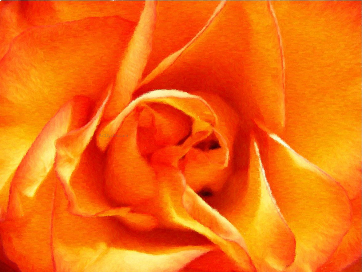 Our Original Collection Orange Rose Closeup - Hand Painted Oil Painting