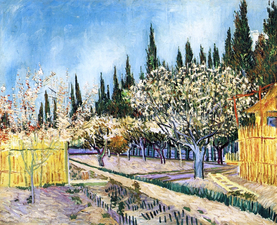 Vincent Van Gogh Orchard Surrounded by Cypresses - Hand Painted Oil Painting