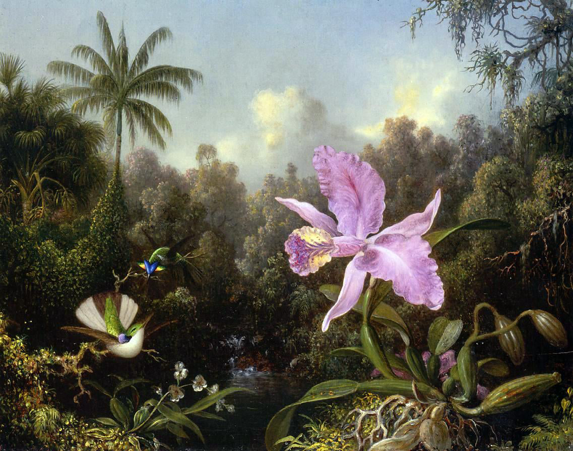 Martin Johnson Heade Orchid and Two Hummingburds - Hand Painted Oil Painting