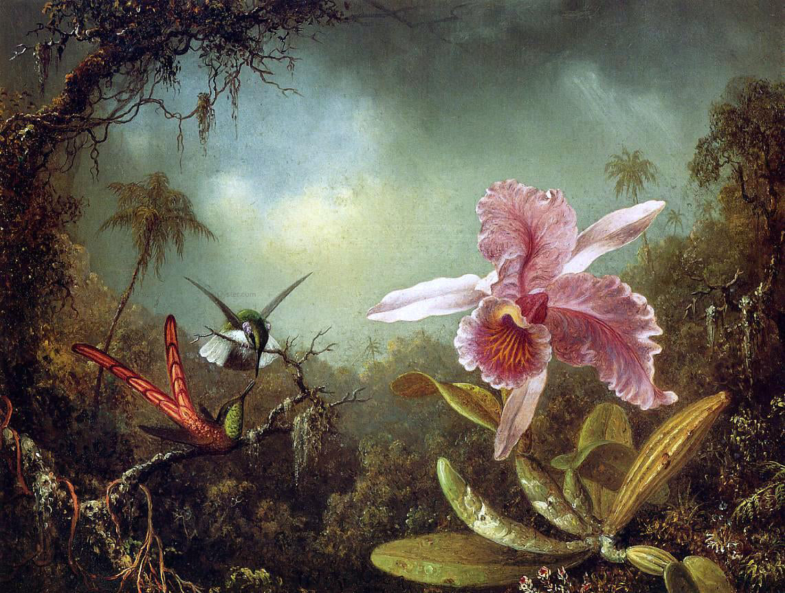 Martin Johnson Heade Orchid with Two Hummingbirds - Hand Painted Oil Painting