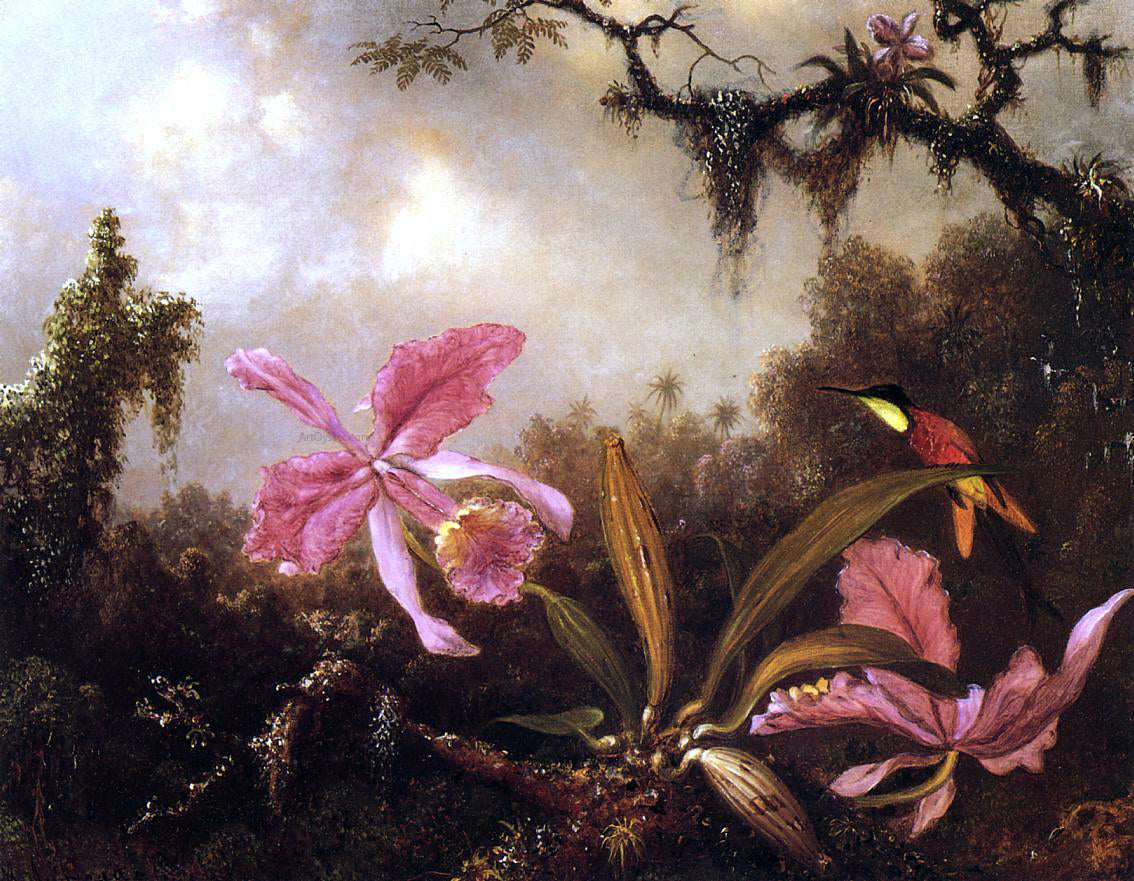 Martin Johnson Heade Orchids and Crimson Topaz Hummingbird - Hand Painted Oil Painting