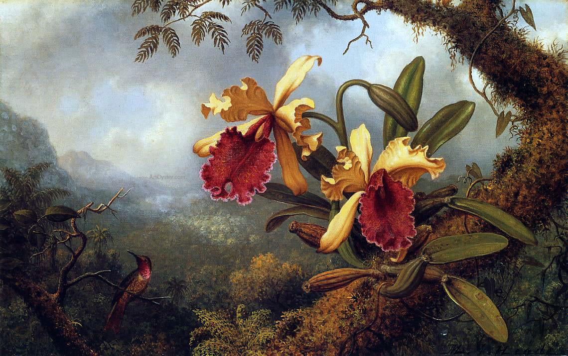 Martin Johnson Heade Orchids and Hummingbird - Hand Painted Oil Painting