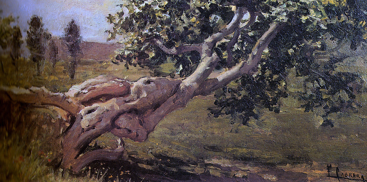 Fernando Cabrera Canto Paisaje - Hand Painted Oil Painting