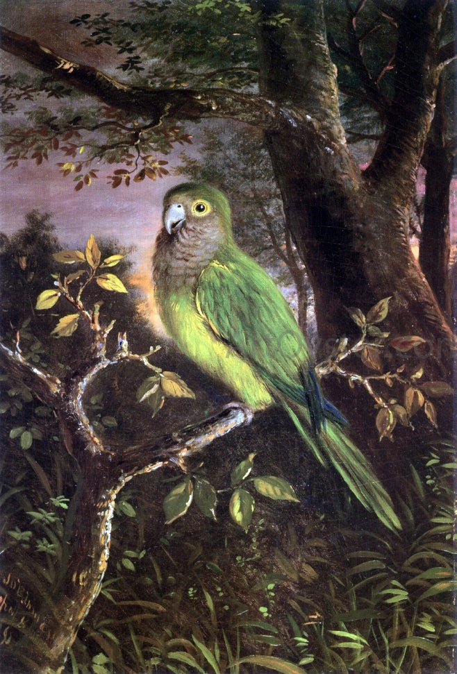 John OBrien Inman A Parrot on a Branch - Hand Painted Oil Painting