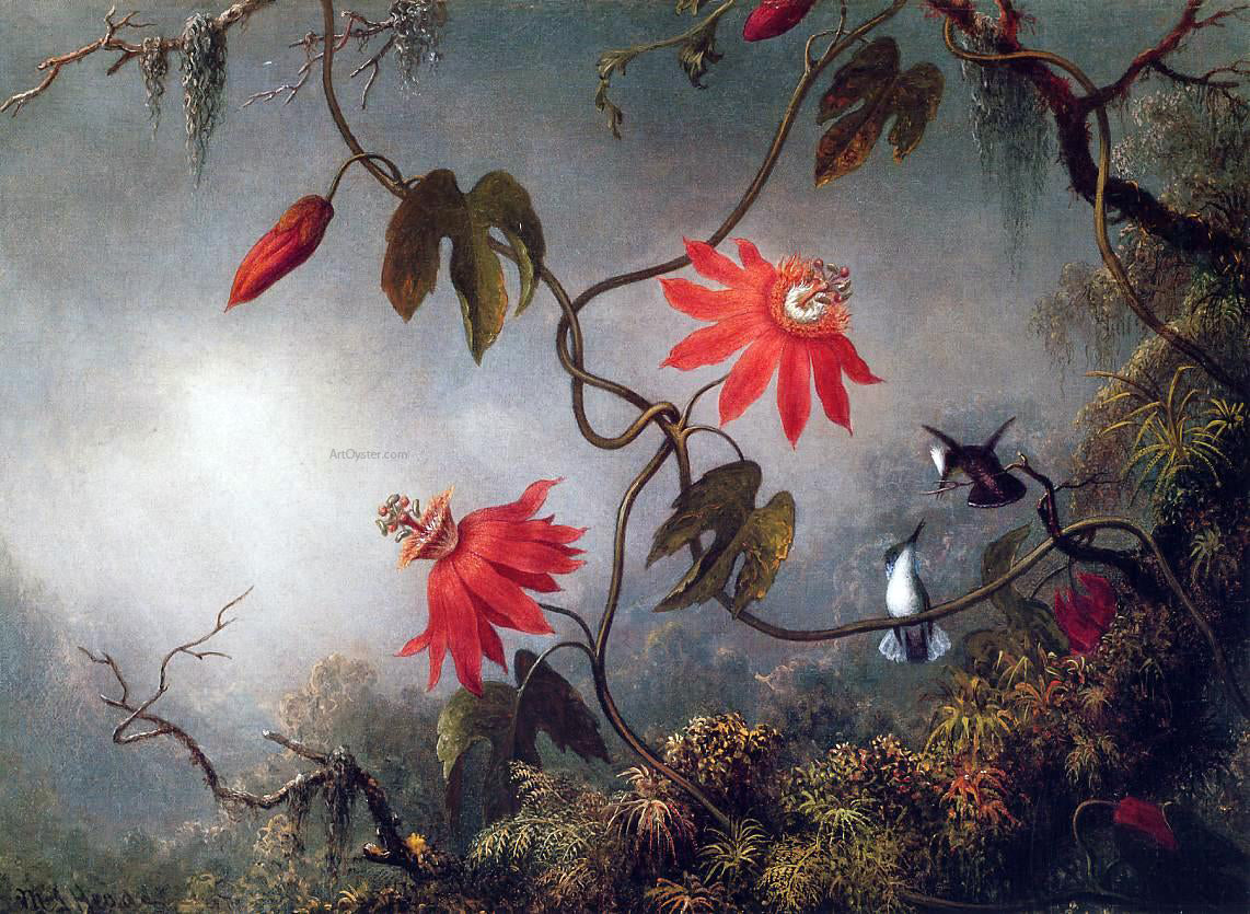 Martin Johnson Heade Passion Flowers and Hummingbirds - Hand Painted Oil Painting