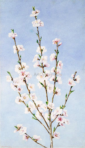 John William Hill Peach Blossoms - Hand Painted Oil Painting