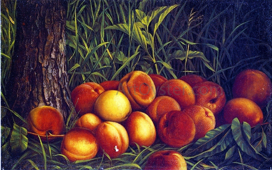 Levi Wells Prentice Peaches - Hand Painted Oil Painting