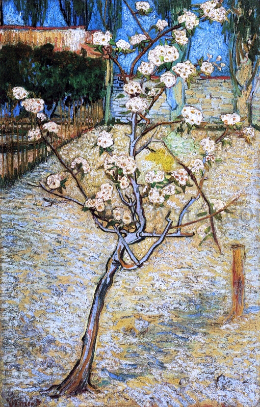 Vincent Van Gogh Pear Tree in Blossom - Hand Painted Oil Painting