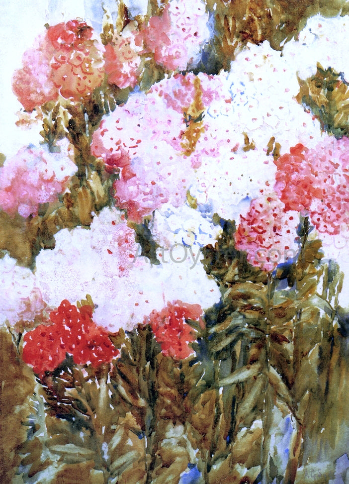 Annie G. Sykes Phlox - Hand Painted Oil Painting