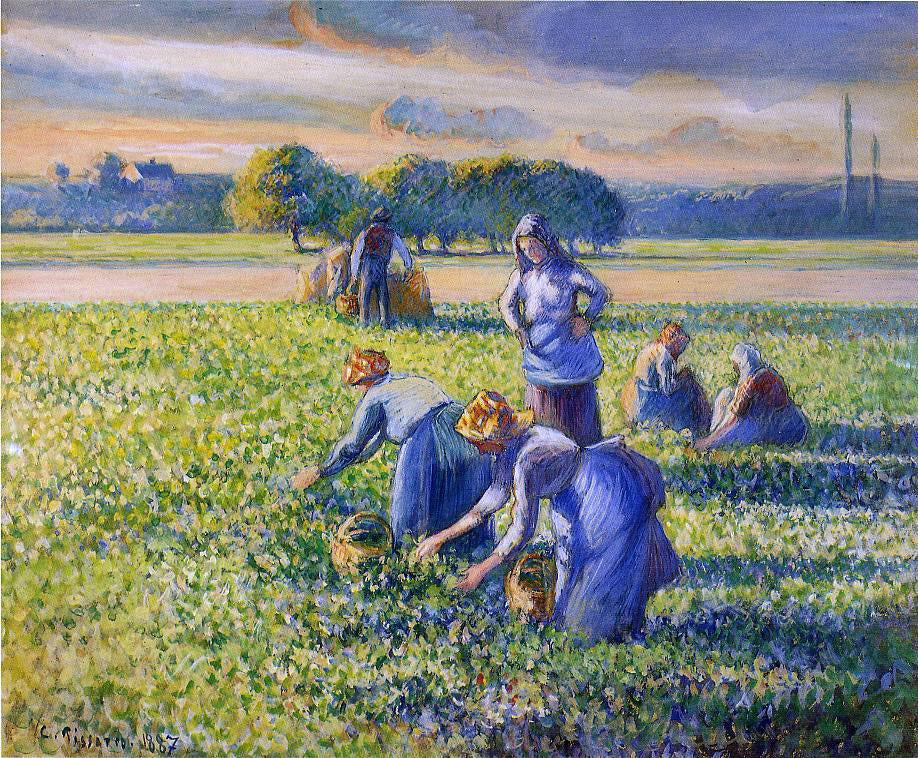 Camille Pissarro Picking Peas - Hand Painted Oil Painting