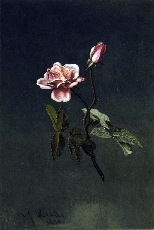 Martin Johnson Heade Pink Rose - Hand Painted Oil Painting
