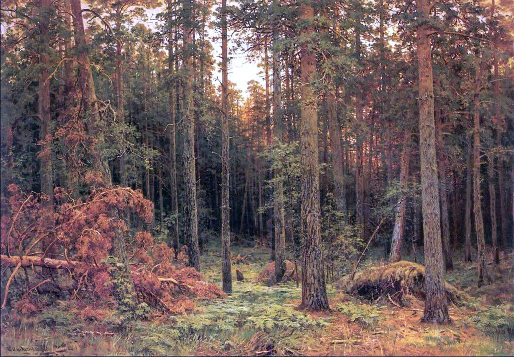 Ivan Ivanovich Shishkin Piny wood - Hand Painted Oil Painting