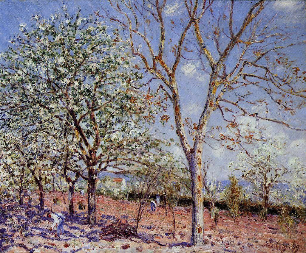 Alfred Sisley Plum and Walnut Trees in Spring - Hand Painted Oil Painting