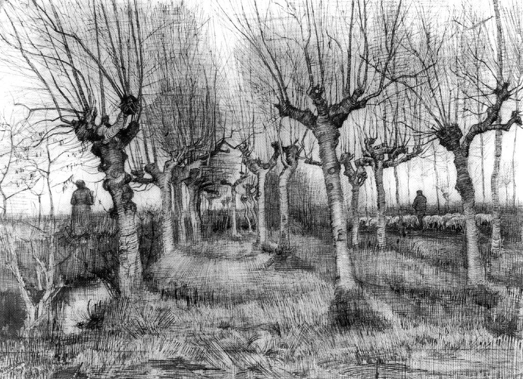 Vincent Van Gogh The Pollard Birches - Hand Painted Oil Painting