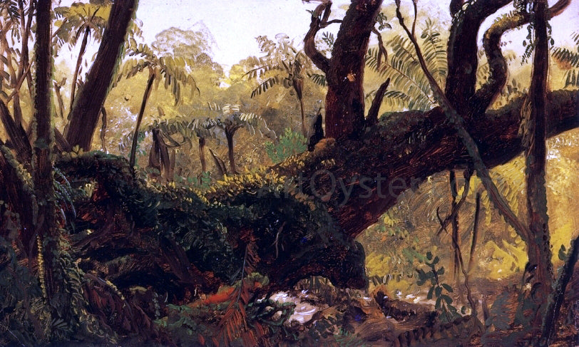 Frederic Edwin Church Rain Forest, Jamaica, West Indies - Hand Painted Oil Painting