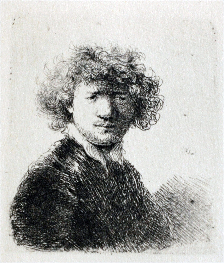 Rembrandt Van Rijn Rembrandt with Bushy Hair and a Small White Collar - Hand Painted Oil Painting