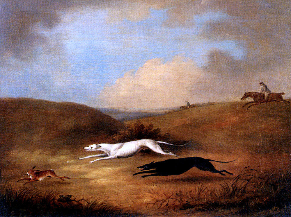 Senior Dean Wolstenholme Robert Poole's Greyhounds, Pigeon And Polecat - Hand Painted Oil Painting
