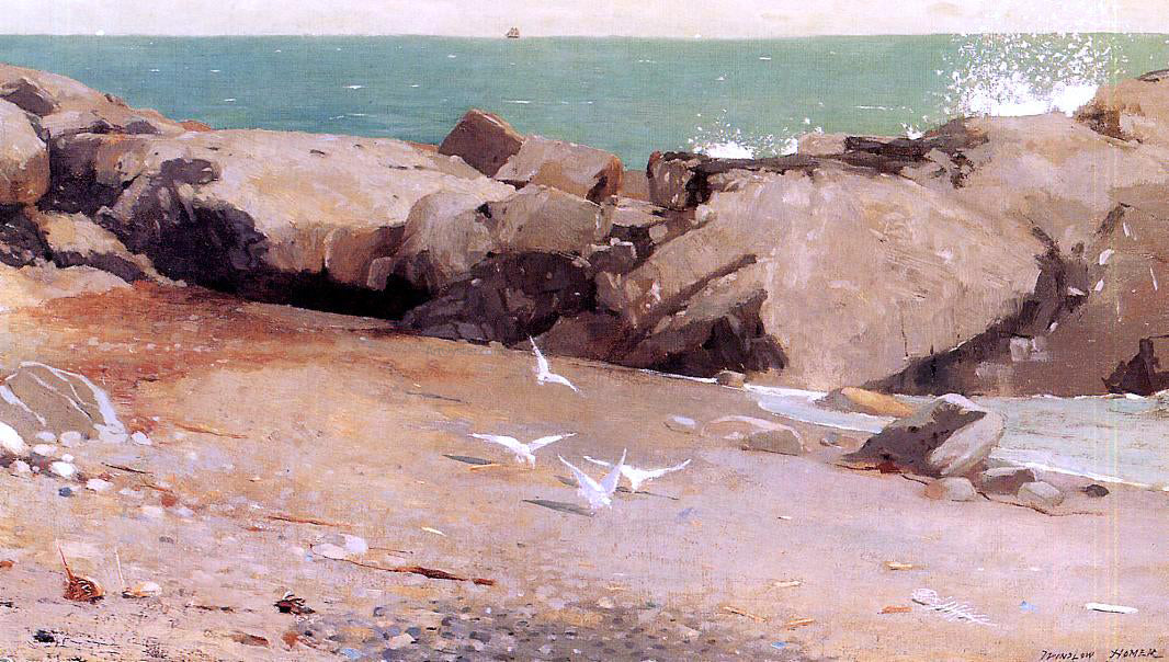 Winslow Homer Rocky Coast and Gulls - Hand Painted Oil Painting