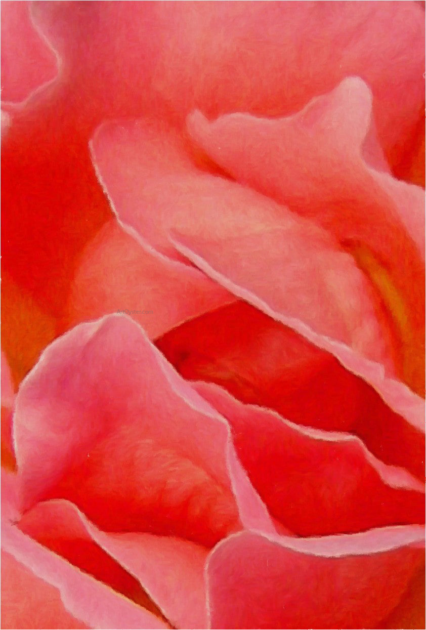 Our Original Collection Rose Petals Abstract - Hand Painted Oil Painting