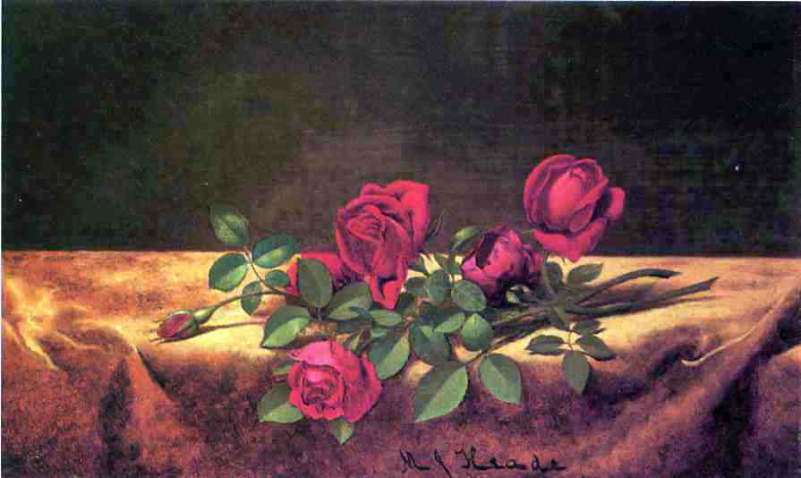 Martin Johnson Heade Roses Lying on Gold Velvet - Hand Painted Oil Painting