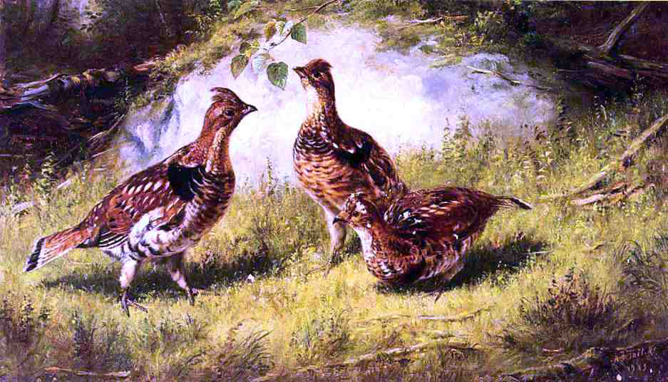 Arthur Fitzwilliam Tait Ruffed Grouse - Hand Painted Oil Painting