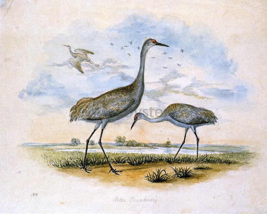 II Titian Ramsey Peale Sandhill Cranes - Hand Painted Oil Painting