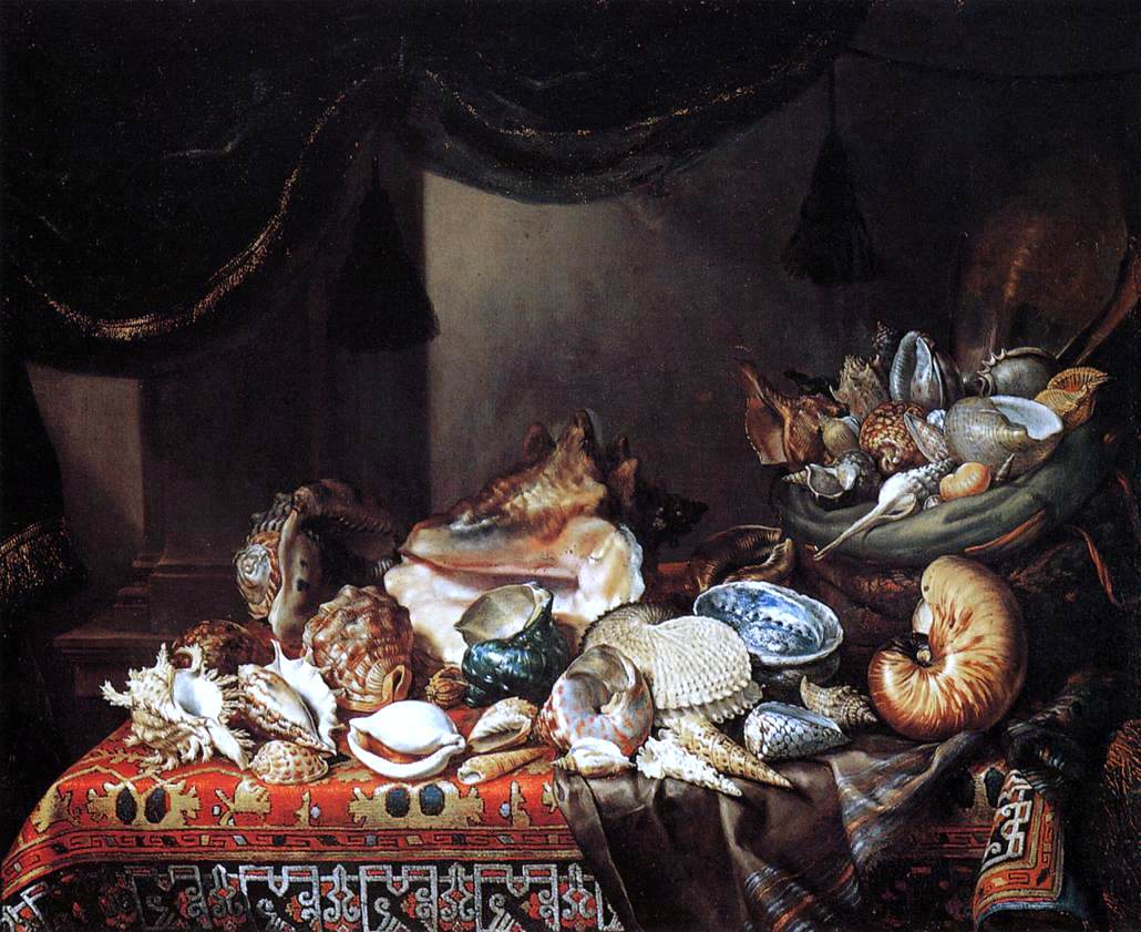 Bartolomeo Bimbi Shells - Hand Painted Oil Painting