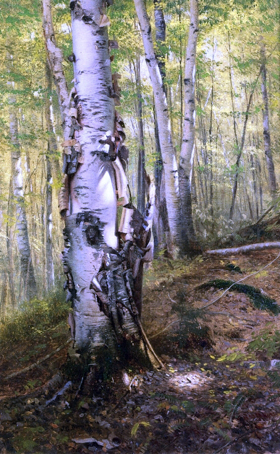 John George Brown Silver Birches - Hand Painted Oil Painting